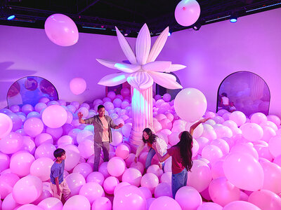 Cadeaubon Beleef culturele ervaringen en evenementen in heel België