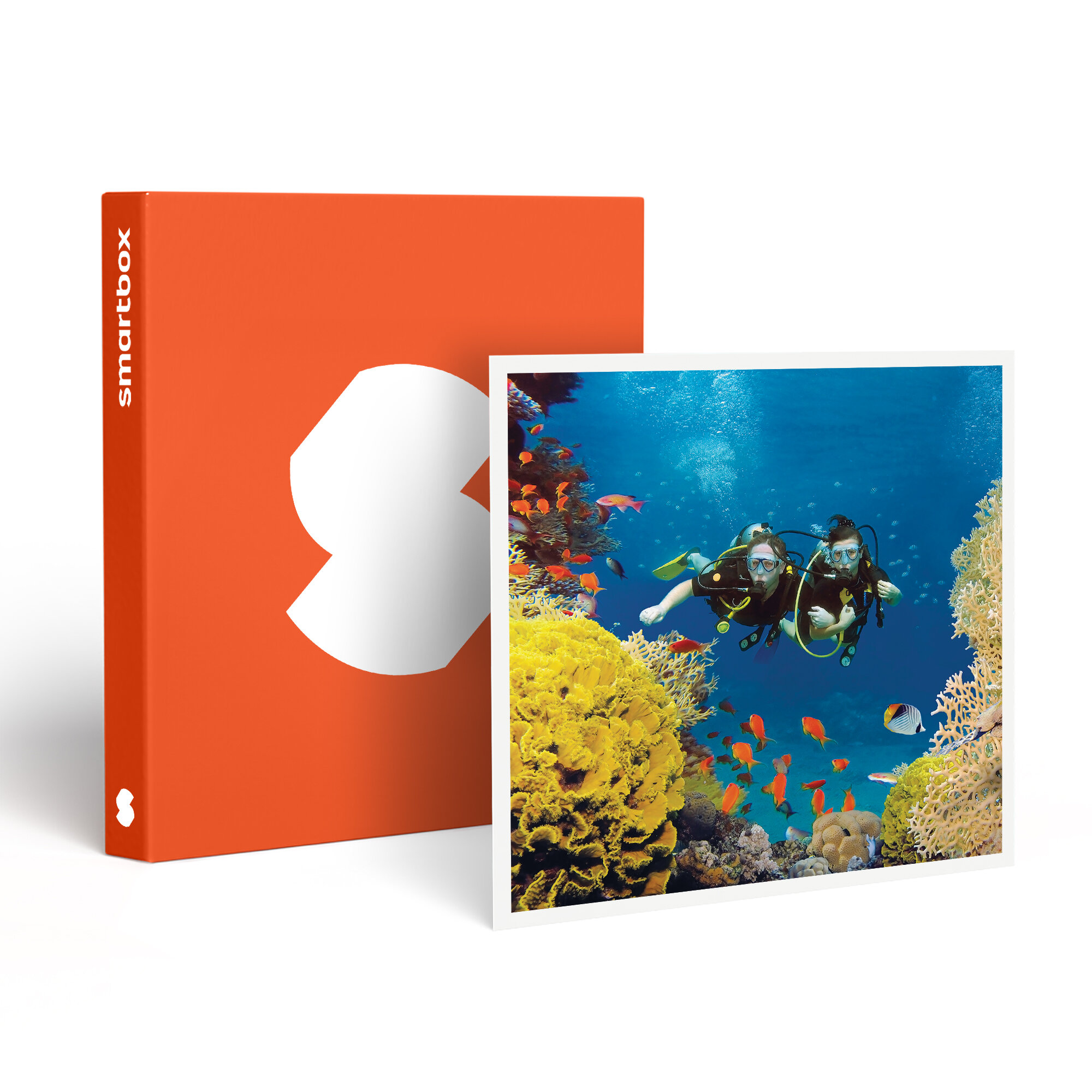 Coffret Cadeau Smartbox - Initiation Plongée En Piscine à Paris - 4 Séances Avec Moniteur - Expérience Découverte