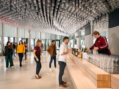 Coffret cadeau Billets coupe-file pour la Cité du Vin de Bordeaux pour 1 adulte et 2 enfants
