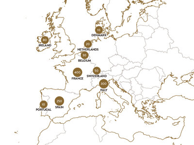 Tausendundeine Nacht MAGIC