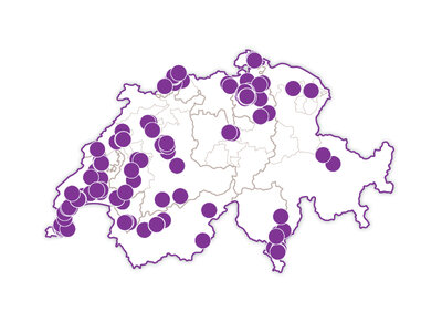 Wellness-Moment für dich