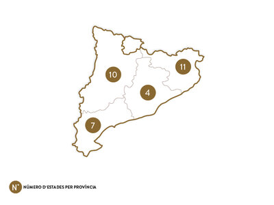 Mil i una nits a Catalunya