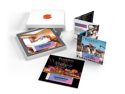 Caja Puy du Fou y 1 noche en Toledo