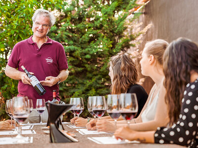 Lujo en La Rioja: 1 noche en Parador de Santo Domingo de la Calzada 4* y visita a bodega