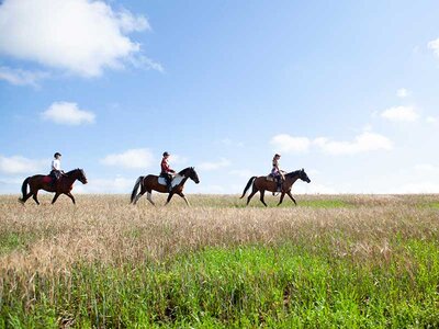 Activités plein air Aventure en France