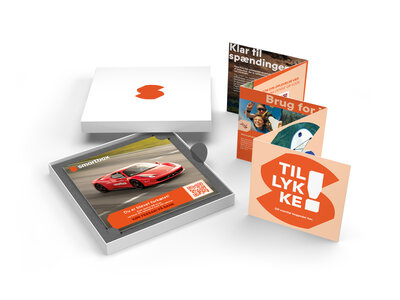 Boks Kør Ferrari på bane