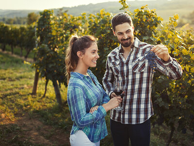 Activités détente ou aventure