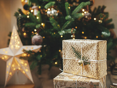 Coffret cadeau Un Noël inoubliable : nuit, dîner, accès au spa ou aventure