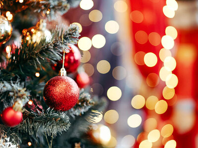 Coffret cadeau Surprise de Noël pour vous : dégustation, bien-être ou aventure