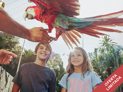 Caja regalo ¡Navidad en PortAventura!: 4 entradas para 2 adultos y 2 niños