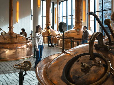 Degustación en la Antigua Fábrica Estrella Damm: 1 visita y cata especial