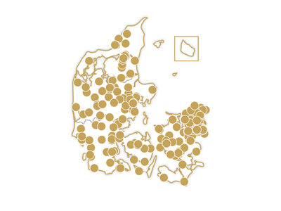 En bukett av upplevelser