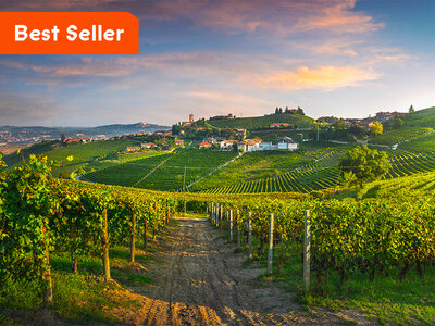 Cofanetto regalo I vini del Piemonte: visita con degustazione e 2 bottiglie