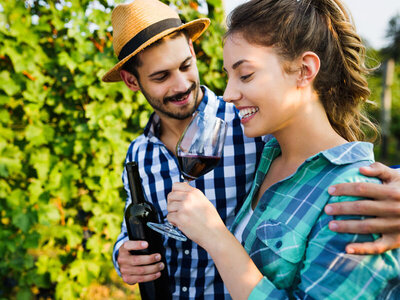 Escapada rural de 1 noche y visita a viñedo con cata