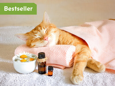 Coffret cadeau Votre porte d'entrée vers la détente et le bien-être