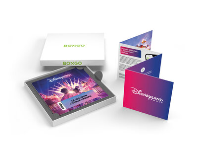 Coffret 1 jour à Disneyland® Paris : 1 parc, 2 adultes