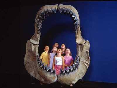 Territorio Dinópolis: 2 entradas de adulto y 2 entradas de júnior o sénior