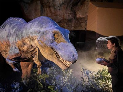 Caja Territorio Dinópolis: 2 entradas de adulto y 2 entradas de júnior o sénior