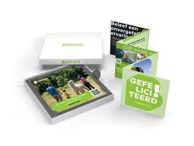 Coffret Parc d'attractions