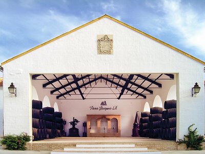 Caja ¡De vinos por el Día del Padre!: visita a bodega con cata