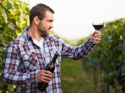 Caja regalo ¡De vinos por el Día del Padre!: visita a bodega con cata