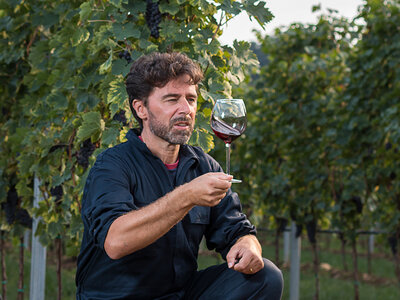 Cofanetto regalo Tra i vigneti per la Festa del Papà: soggiorno enologico con degustazione vini