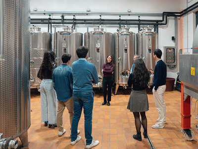 Il Lago di Garda e i suoi vini: 1 degustazione con prodotti tipici