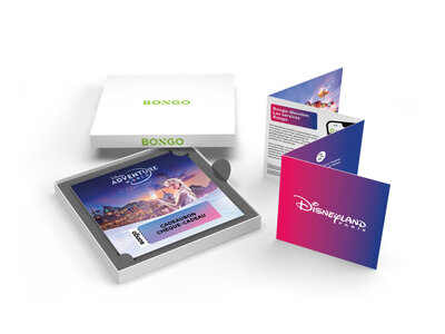 Doos Disneyland® Paris voor 2 volwassenen: 2 parken