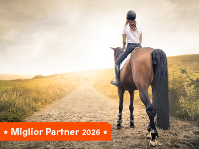 Cofanetto regalo A spasso per la Toscana in sella: 1 giornata a cavallo per 1 persona