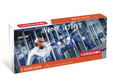 Indoor Skydive