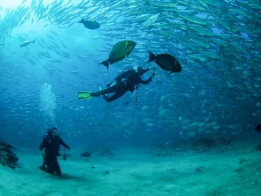 Emozioni in mare: 1 lezione di immersione subacquea per te