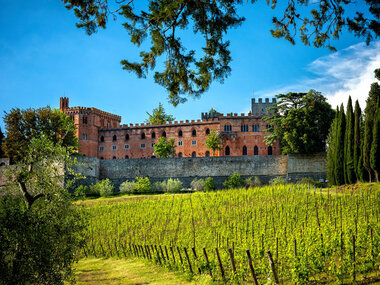 Tour del Chianti e dei Castelli toscani con 2 degustazioni tipiche