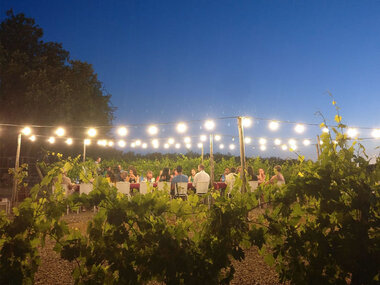 Cena nei vigneti del Chianti con partenza da Siena