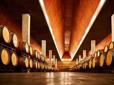 Visita a la Bodega ENATE con cata de 3 vinos y entrada a la Sala de Arte Contemporáneo