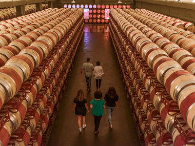 Visita en familia a Bodegas Osborne - Montecillo: cata y taller de creatividad