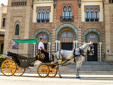 Paseo en coche de caballos en Sevilla para dos