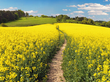 Una pensione super: 1 esperienza a scelta tra soggiorni, relax, gusto e sport