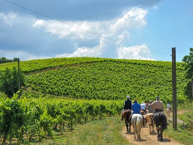 Passeggiata a cavallo nei Monti Lepini con degustazione in cantina vinicola per 2