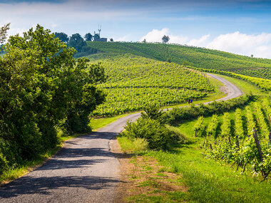 Soggiorno nell’Oltrepò Pavese: 2 notti in agriturismo con degustazione in cantina