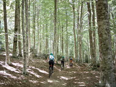 Pedalando sul Monte Amiata: escursione in e-bike per 2 amanti dell’avventura