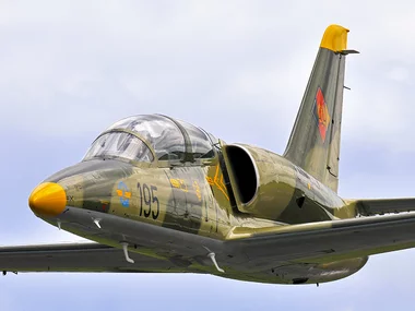 Pilota per un giorno in California: adrenalina a bordo di un L-39 Albatros jet fighter