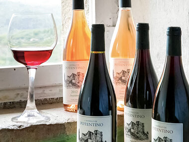 Castello di Potentino: visita guidata alla cantina con degustazione di vini per 2 persone