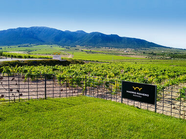 Visita a Bodega Madrid Romero con cata de 4 vinos