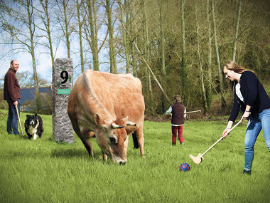 Golf au milieu des animaux et des champs pour 3 en Normandie