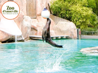 Sortie en famille au Parc Zoologique d'Amnéville