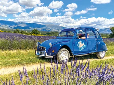 Balade vintage en 2 CV dans les champs de lavande et visite de distillerie