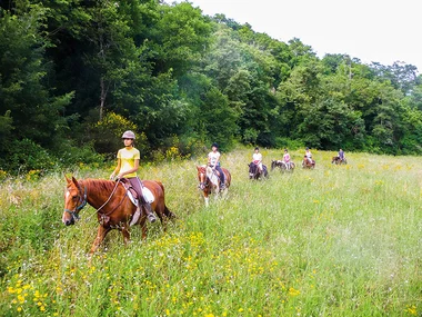 In sella per la Maremma: esclusiva passeggiata a cavallo di 2 ore per 2 persone