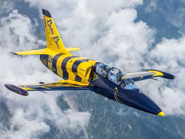 Vol spectaculaire de 25 minutes dans un avion de chasse L-39 Albatros en Lettonie