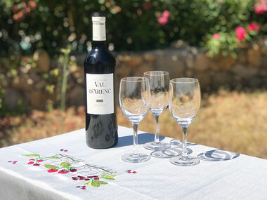 Balade œnologique sur 3 communes classées AOC Bandol et dégustation de vins