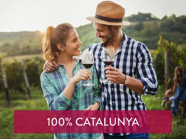 Visita a celler i degustació de vins a Catalunya